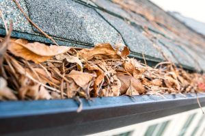 Gutter Cleaning by Andan Home & Business