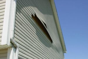 Siding Repair by Andan Home & Business