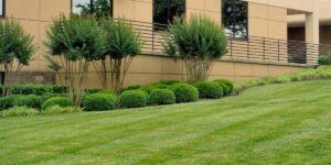 Commercial Lawn Care by Andan Home & Business